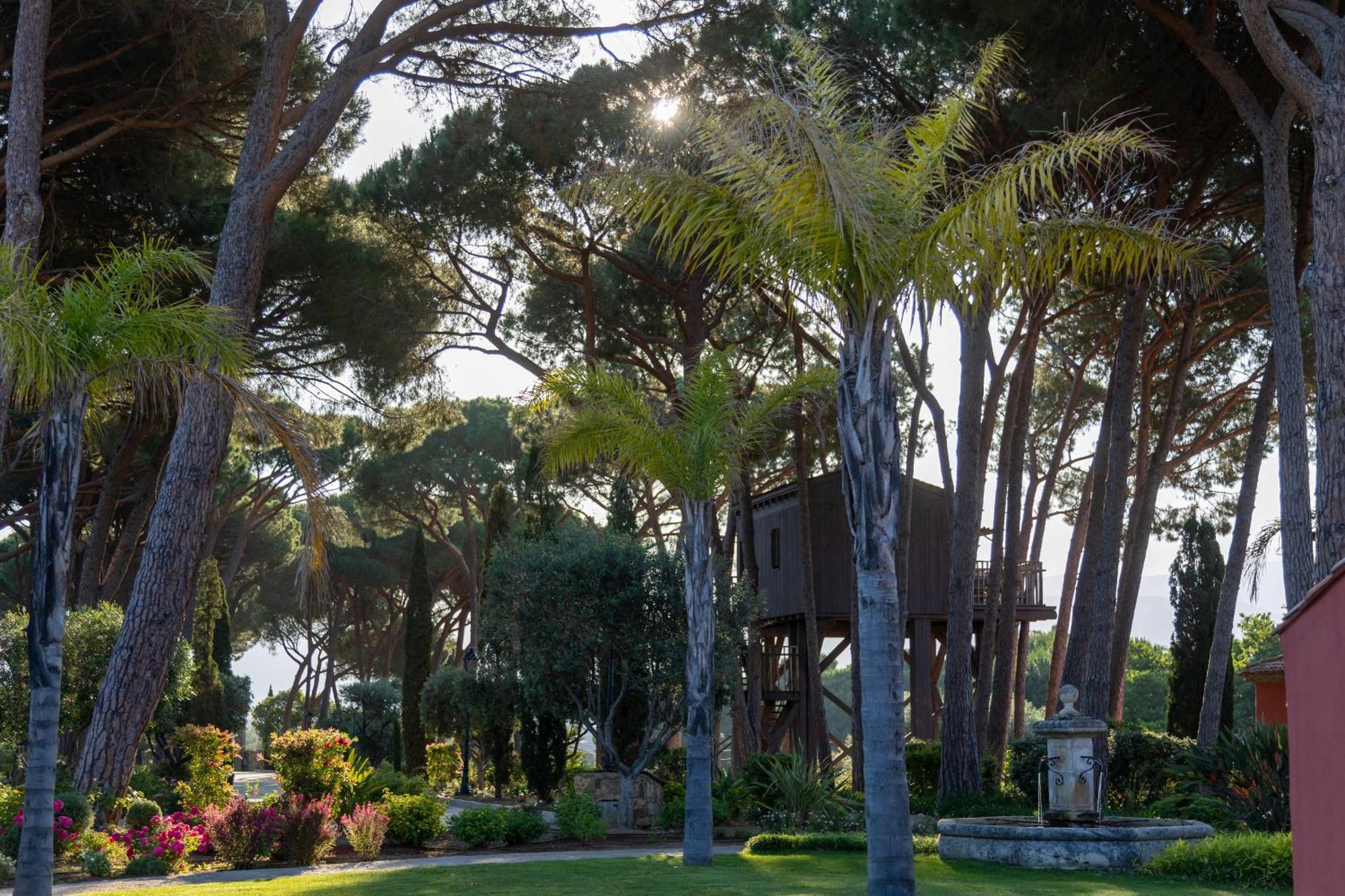 Hotel La Signoria Calvi  Zewnętrze zdjęcie