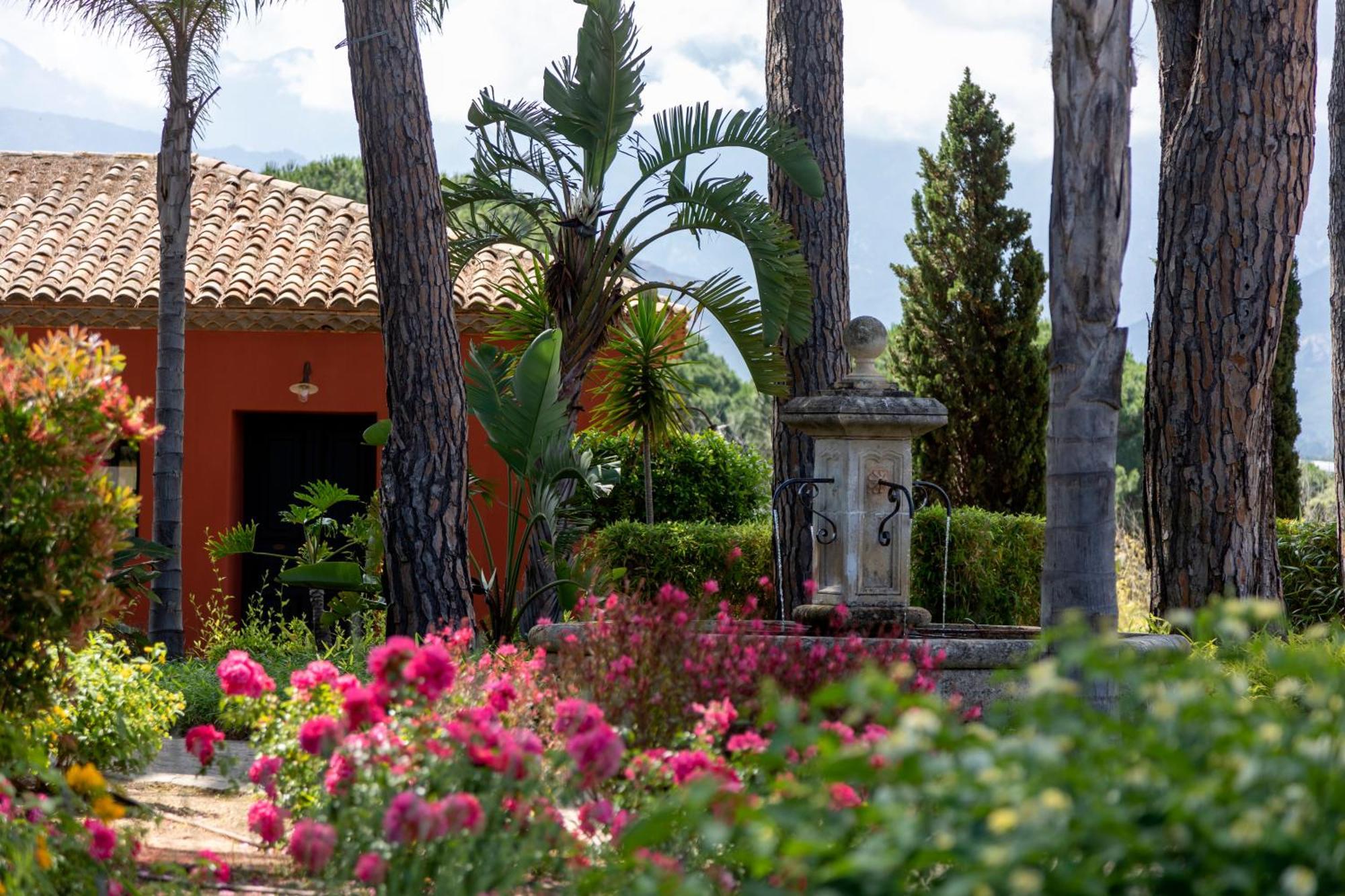 Hotel La Signoria Calvi  Zewnętrze zdjęcie