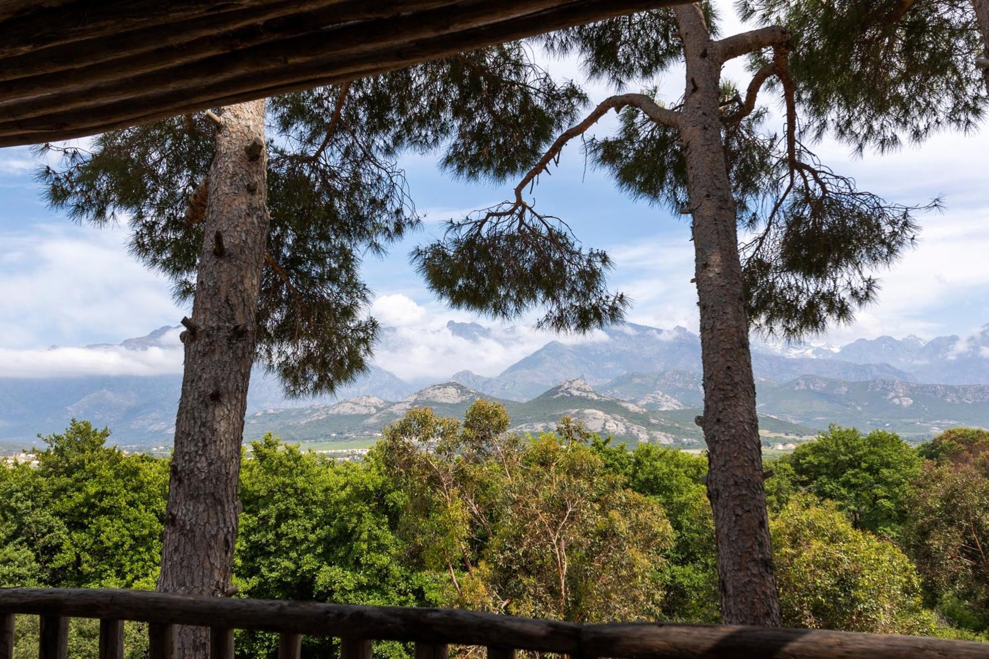 Hotel La Signoria Calvi  Zewnętrze zdjęcie